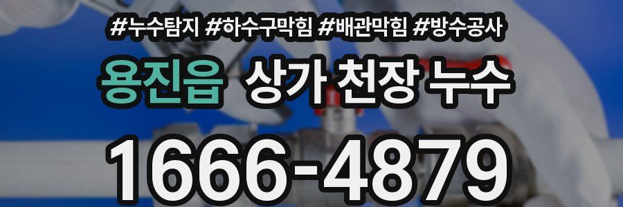 용진읍 상가 천장 누수