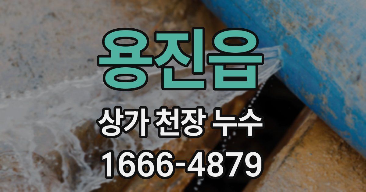 용진읍 상가 천장 누수
