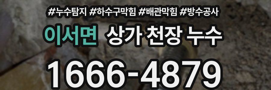 이서면 상가 천장 누수