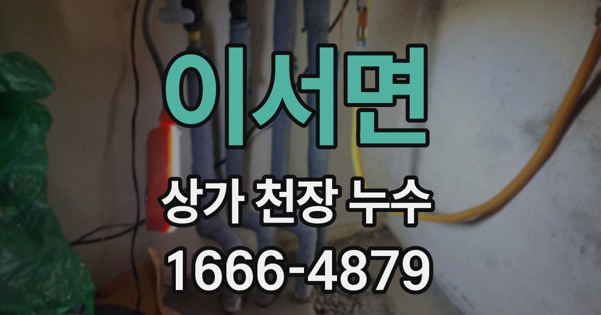 이서면 상가 천장 누수