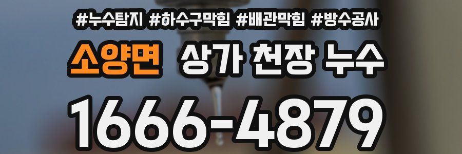 소양면 상가 천장 누수