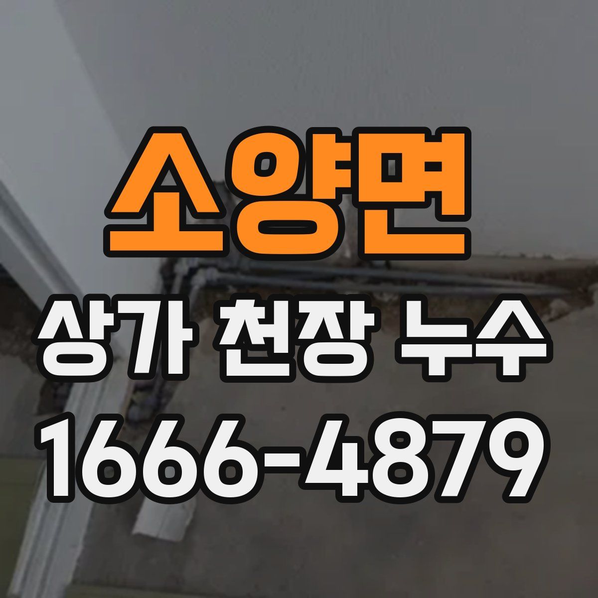 소양면 상가 천장 누수