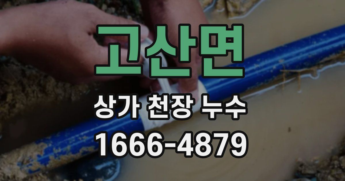 고산면 상가 천장 누수