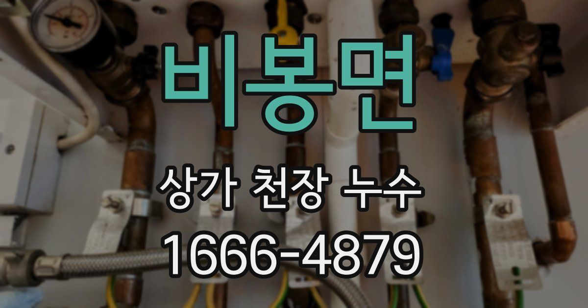 비봉면 상가 천장 누수