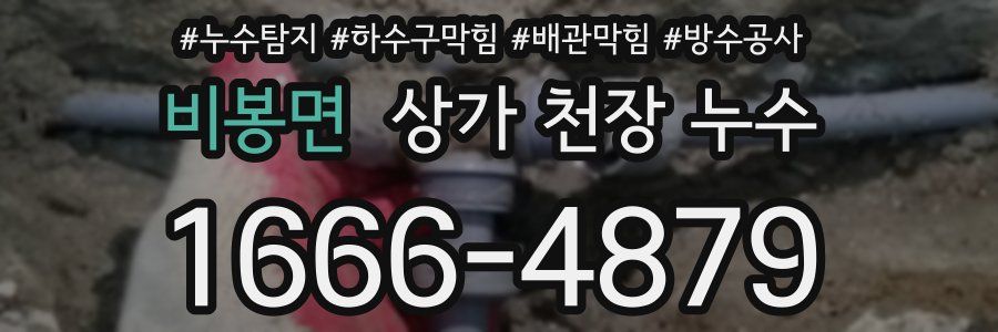 비봉면 상가 천장 누수