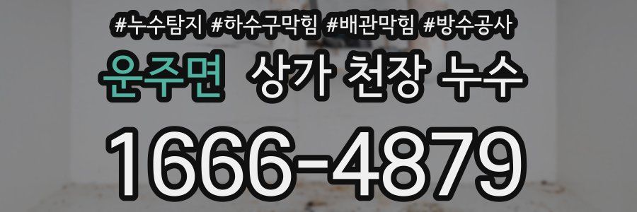 운주면 상가 천장 누수