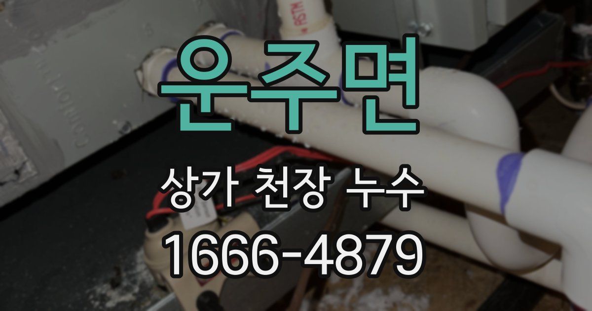 운주면 상가 천장 누수