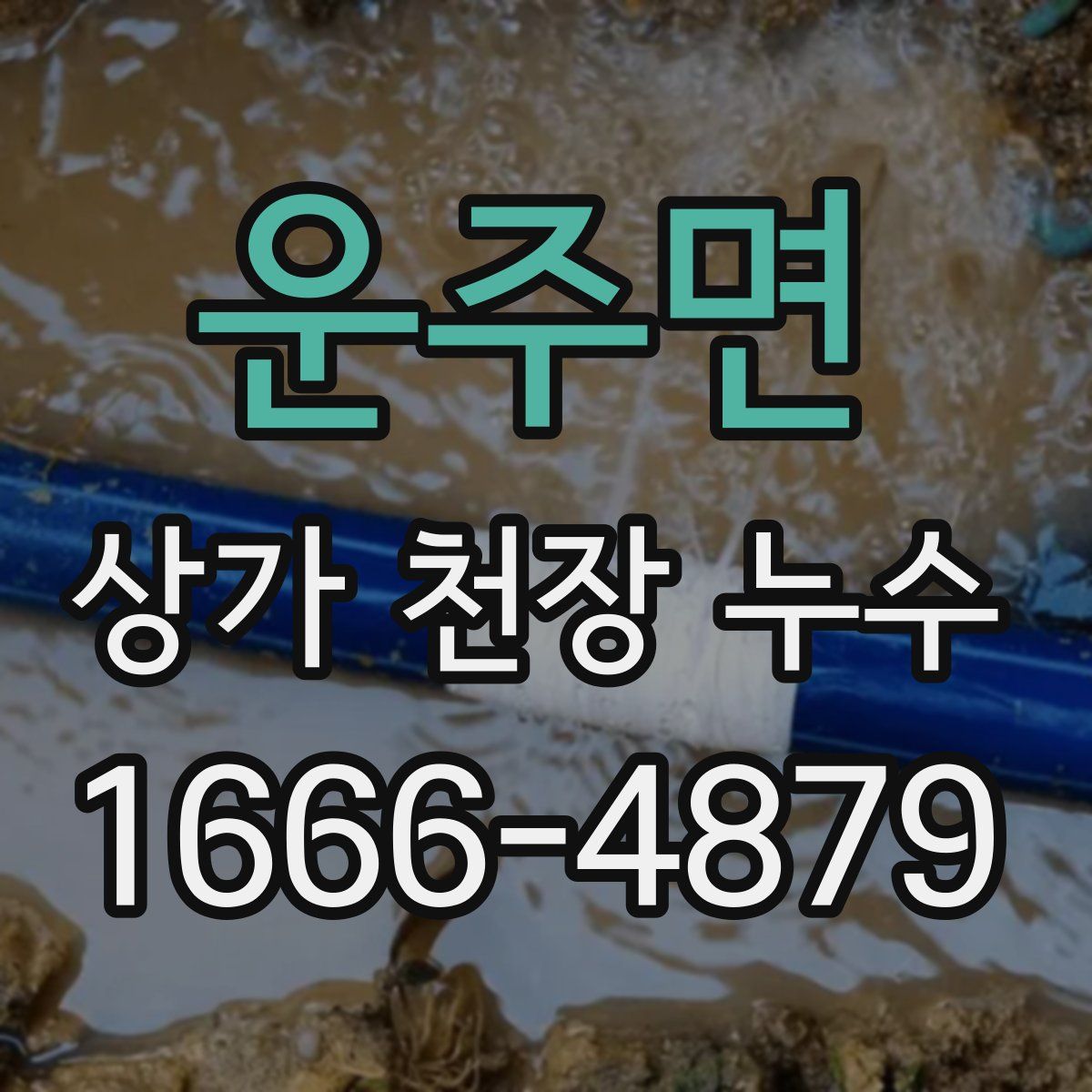 운주면 상가 천장 누수
