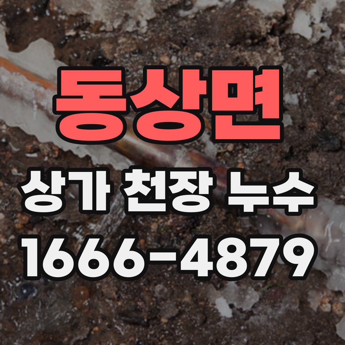 동상면 상가 천장 누수