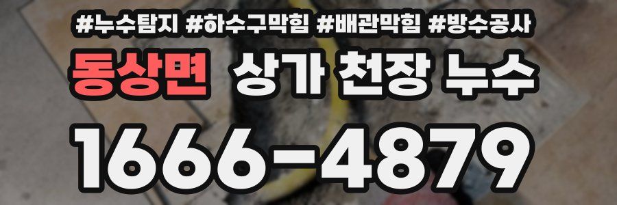 동상면 상가 천장 누수