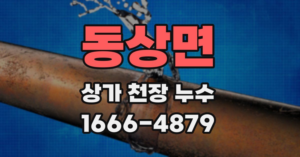 동상면 상가 천장 누수