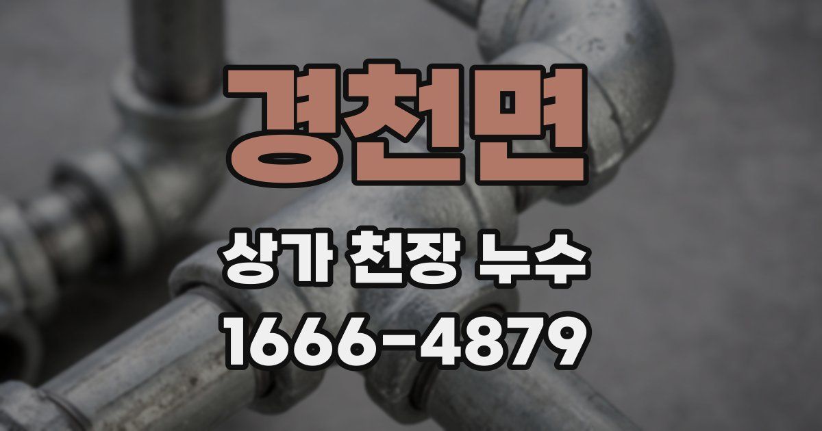 경천면 상가 천장 누수