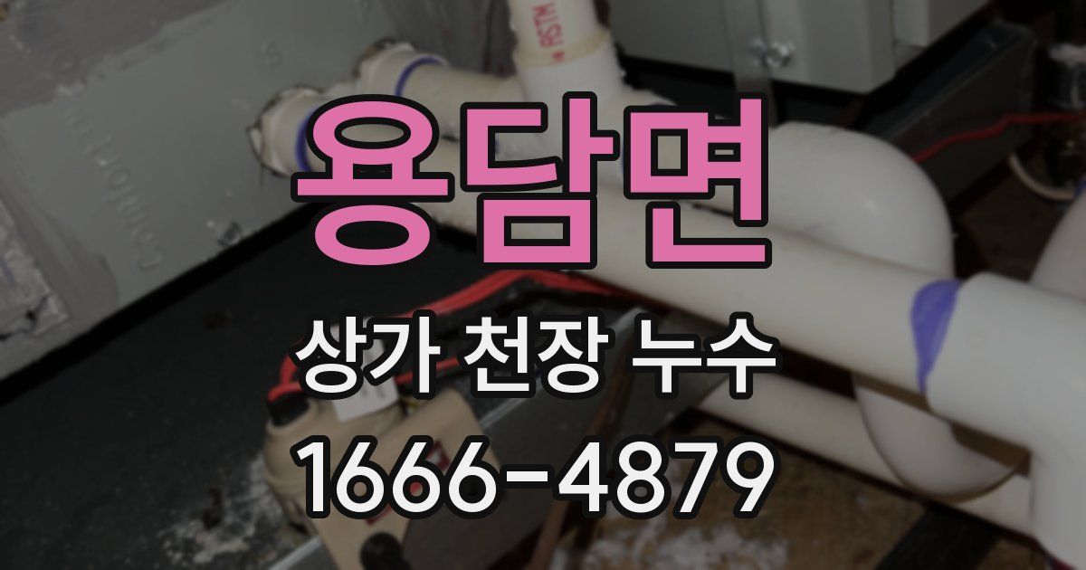 용담면 상가 천장 누수