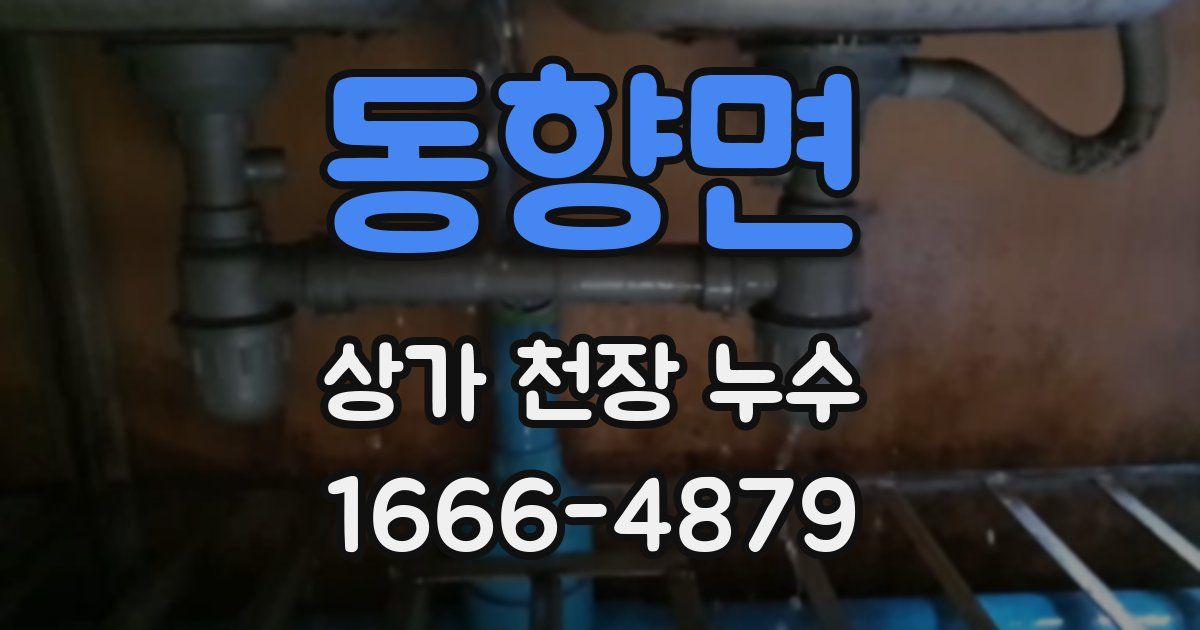 동향면 상가 천장 누수