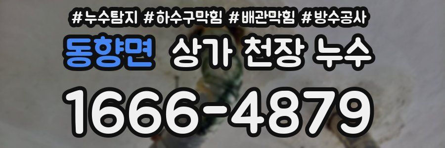 동향면 상가 천장 누수