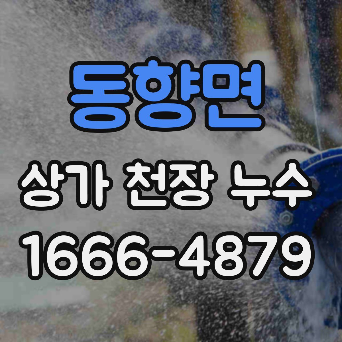 동향면 상가 천장 누수