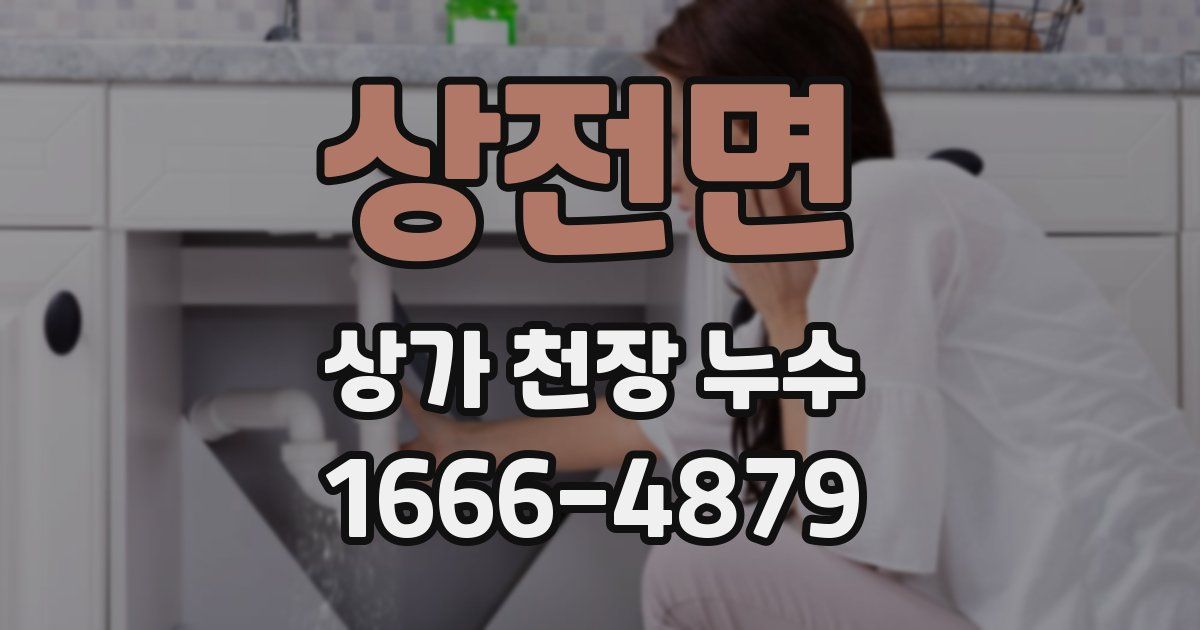 상전면 상가 천장 누수