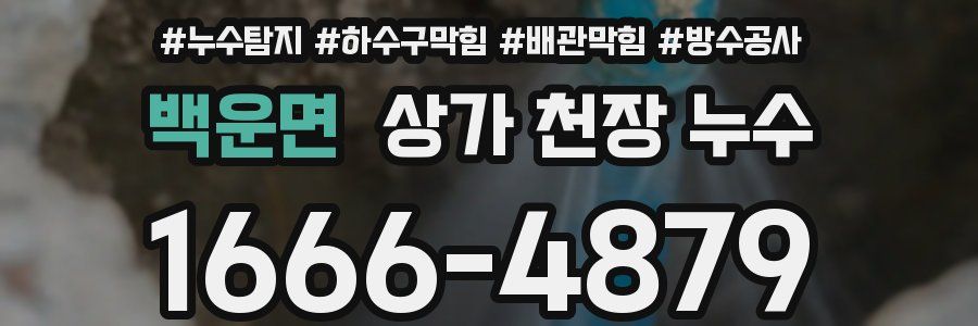 백운면 상가 천장 누수