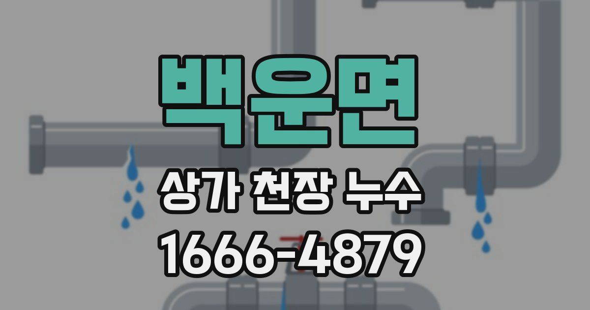백운면 상가 천장 누수