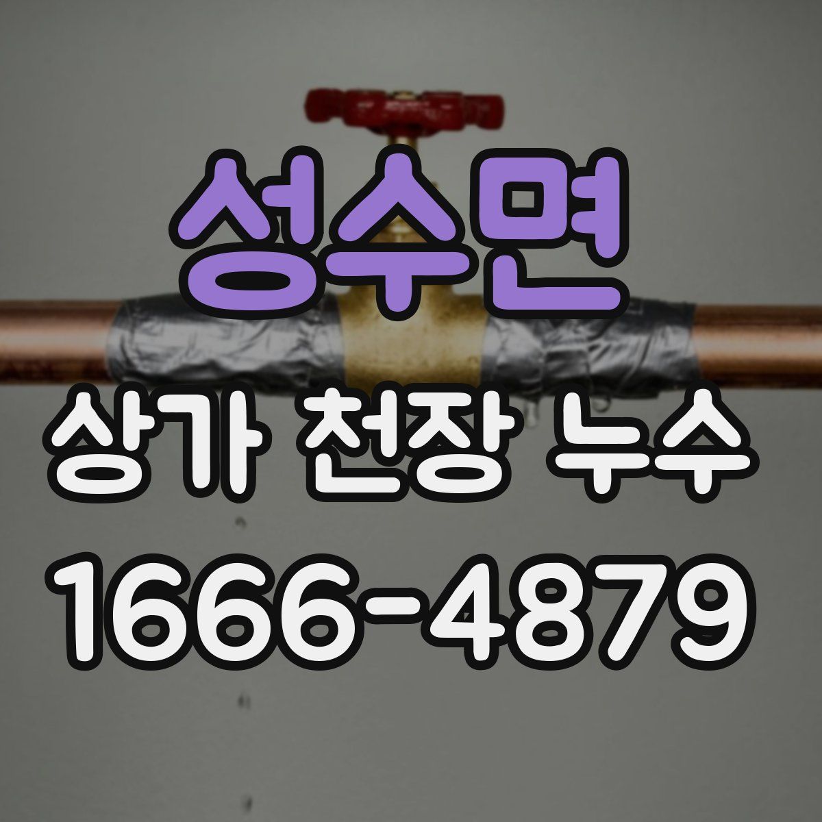 성수면 상가 천장 누수