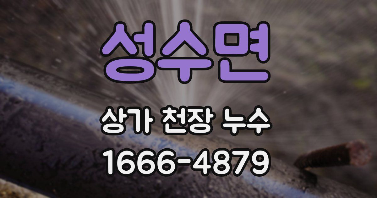 성수면 상가 천장 누수