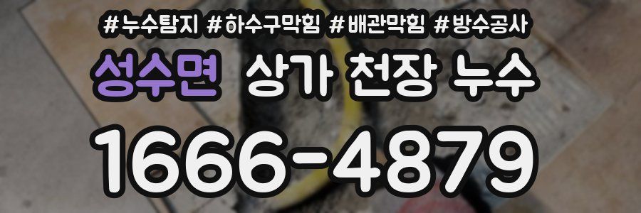 성수면 상가 천장 누수