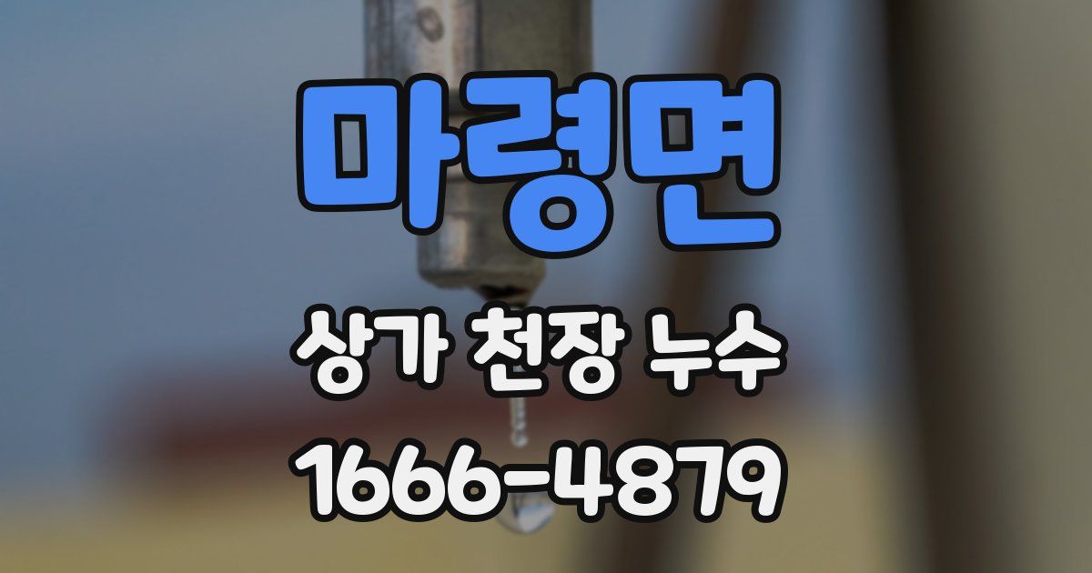 마령면 상가 천장 누수