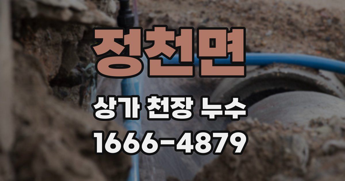 정천면 상가 천장 누수