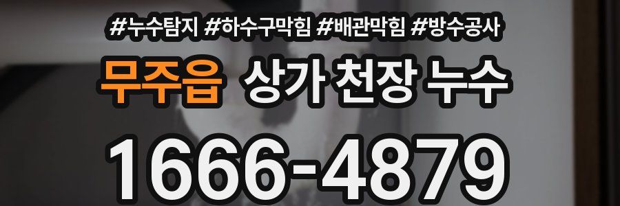 무주읍 상가 천장 누수