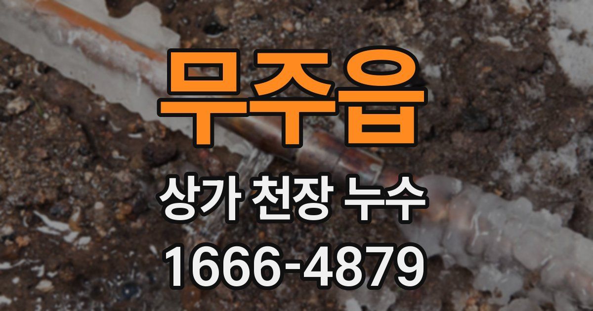 무주읍 상가 천장 누수