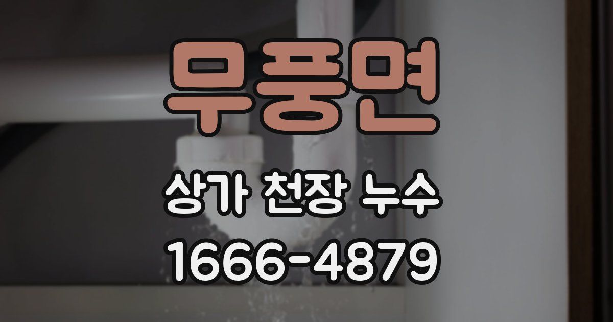 무풍면 상가 천장 누수