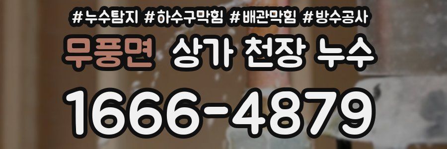 무풍면 상가 천장 누수