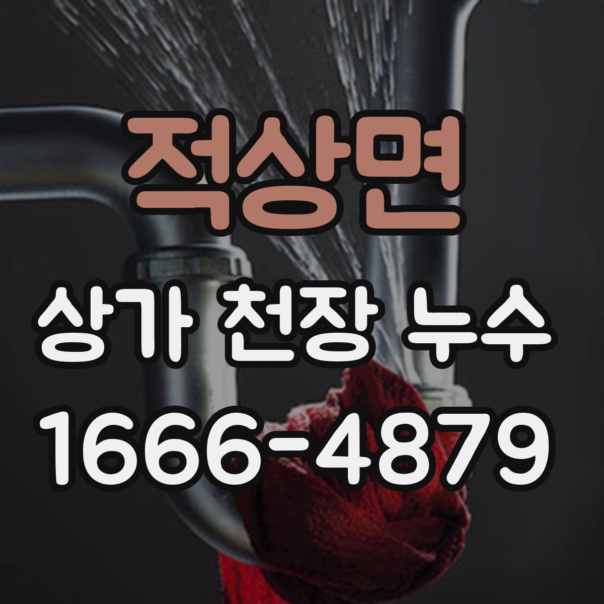 적상면 상가 천장 누수