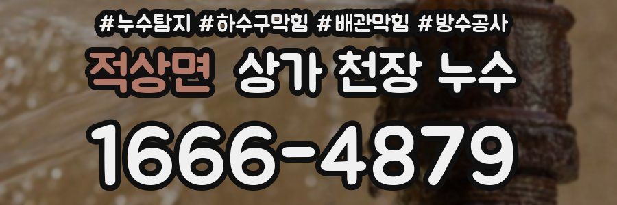 적상면 상가 천장 누수