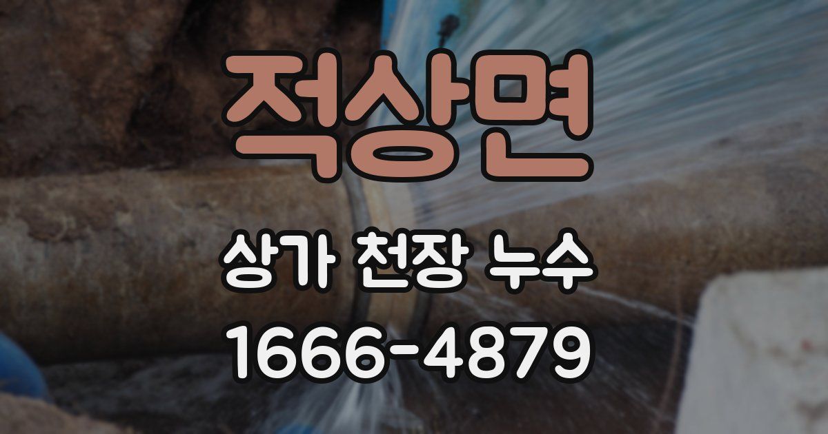 적상면 상가 천장 누수