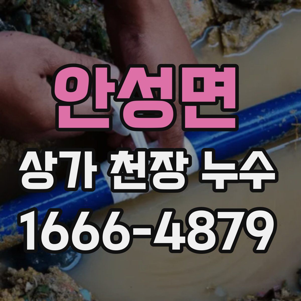 안성면 상가 천장 누수