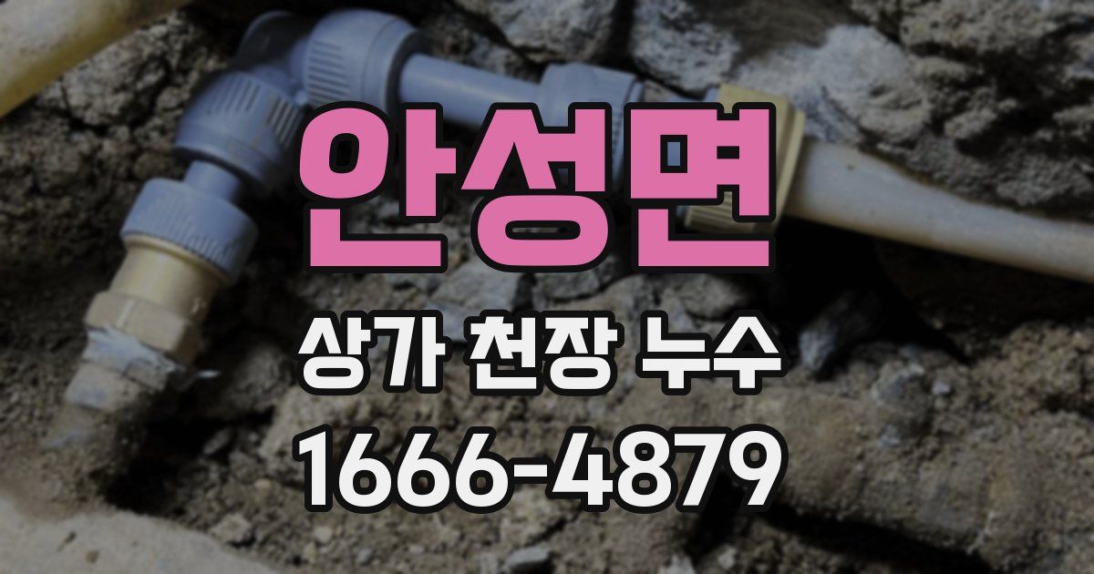 안성면 상가 천장 누수