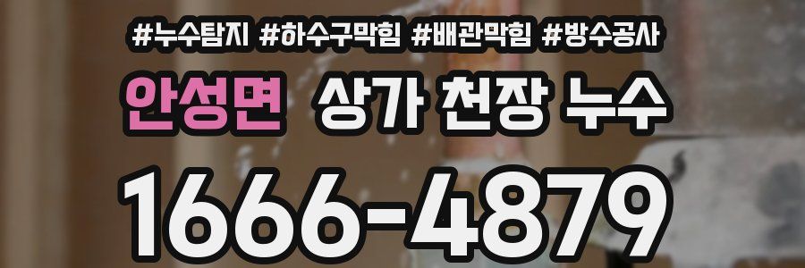 안성면 상가 천장 누수