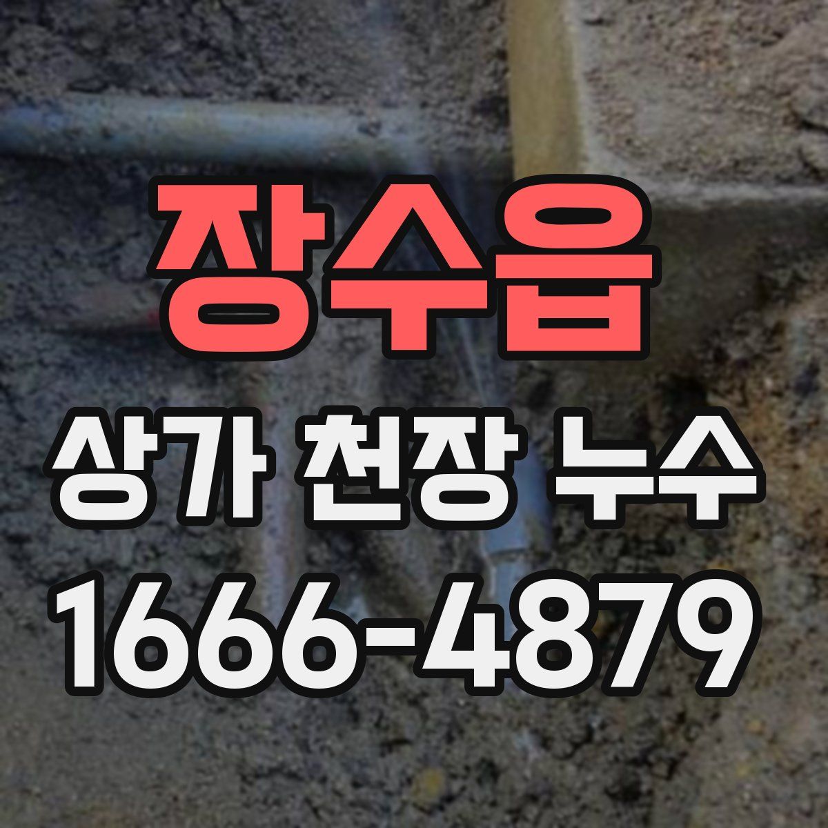장수읍 상가 천장 누수