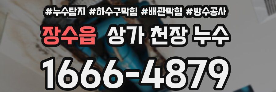 장수읍 상가 천장 누수