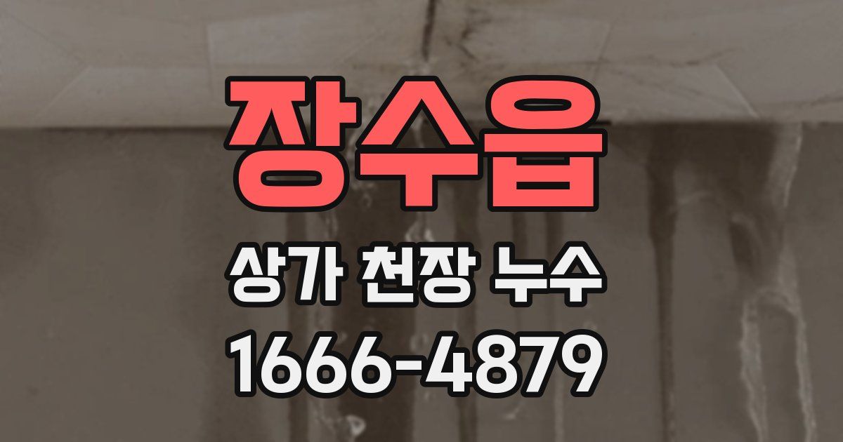 장수읍 상가 천장 누수