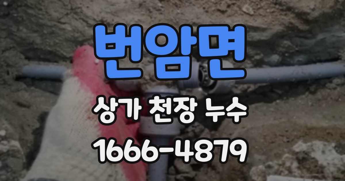 번암면 상가 천장 누수