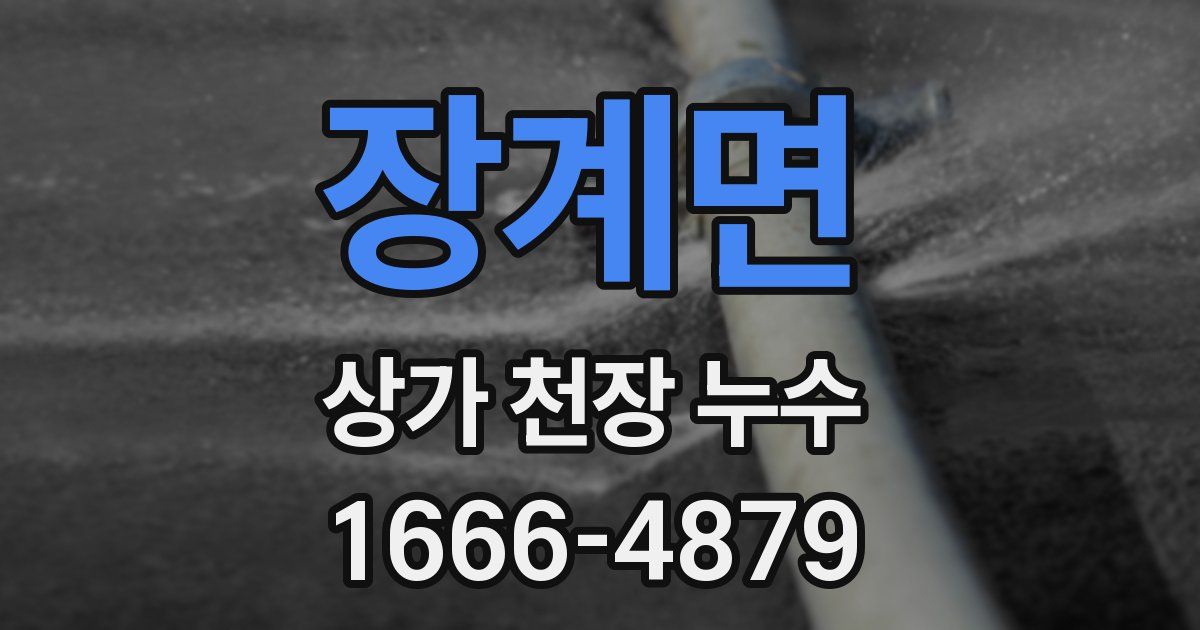 장계면 상가 천장 누수