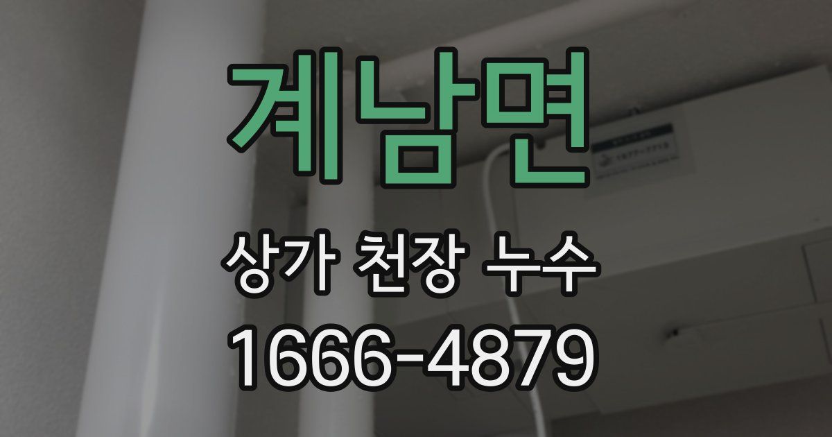계남면 상가 천장 누수