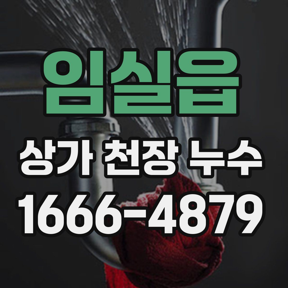 임실읍 상가 천장 누수