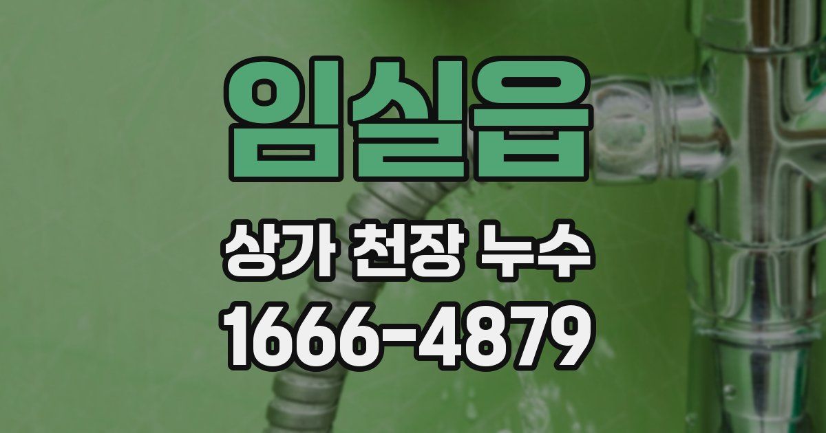 임실읍 상가 천장 누수