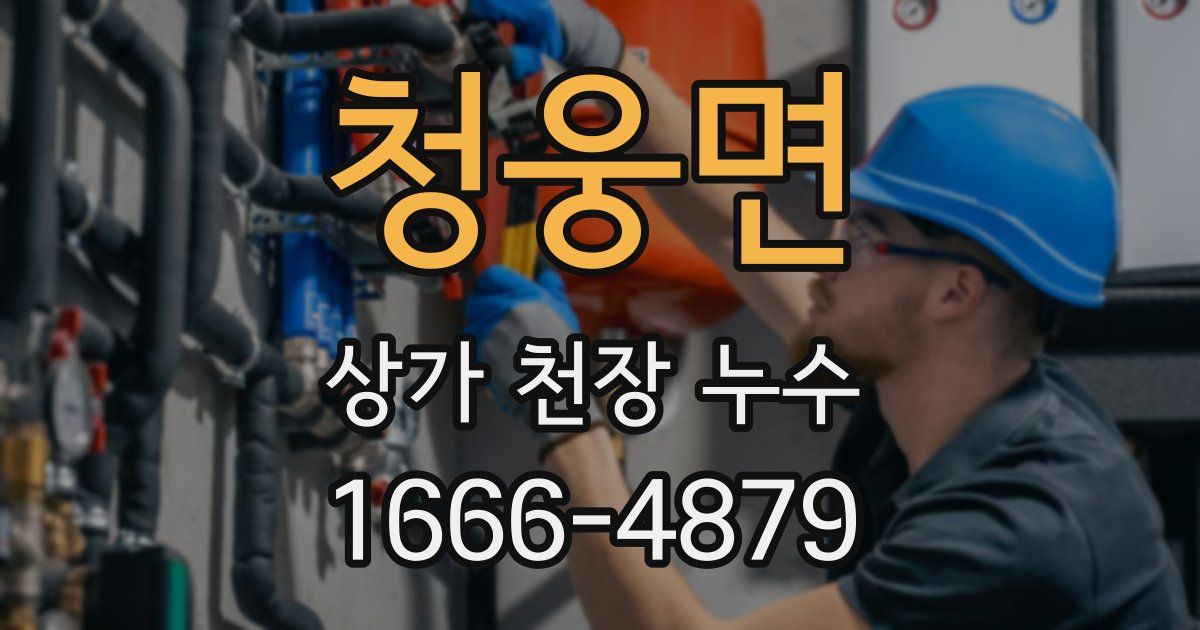 청웅면 상가 천장 누수