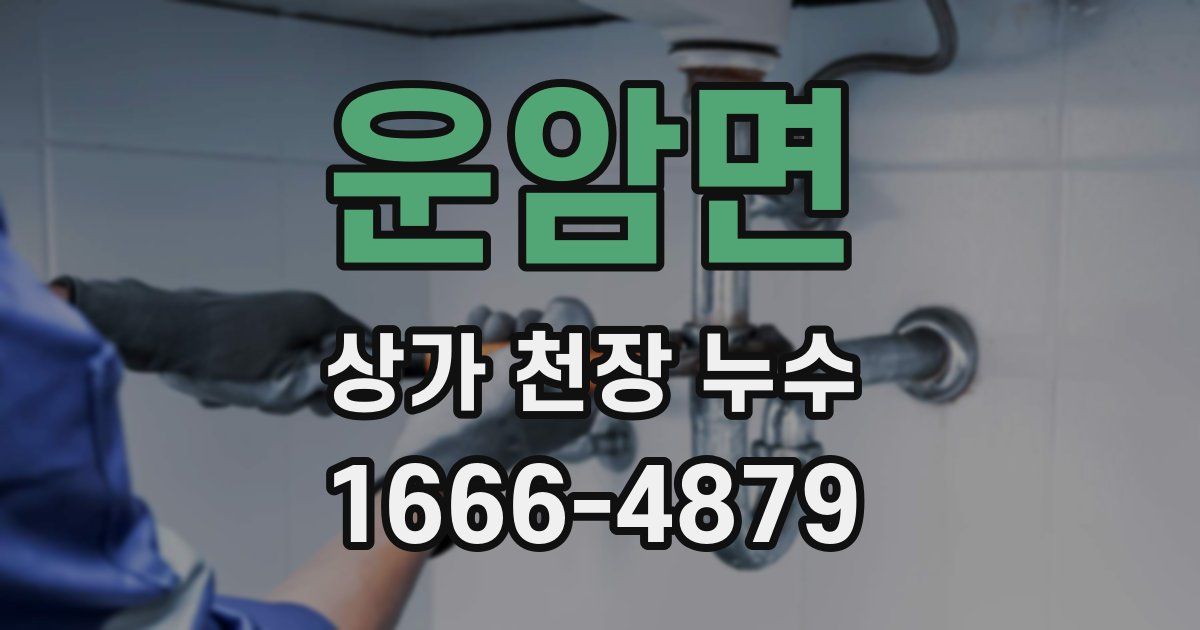 운암면 상가 천장 누수