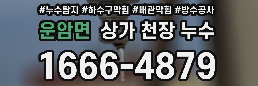 운암면 상가 천장 누수