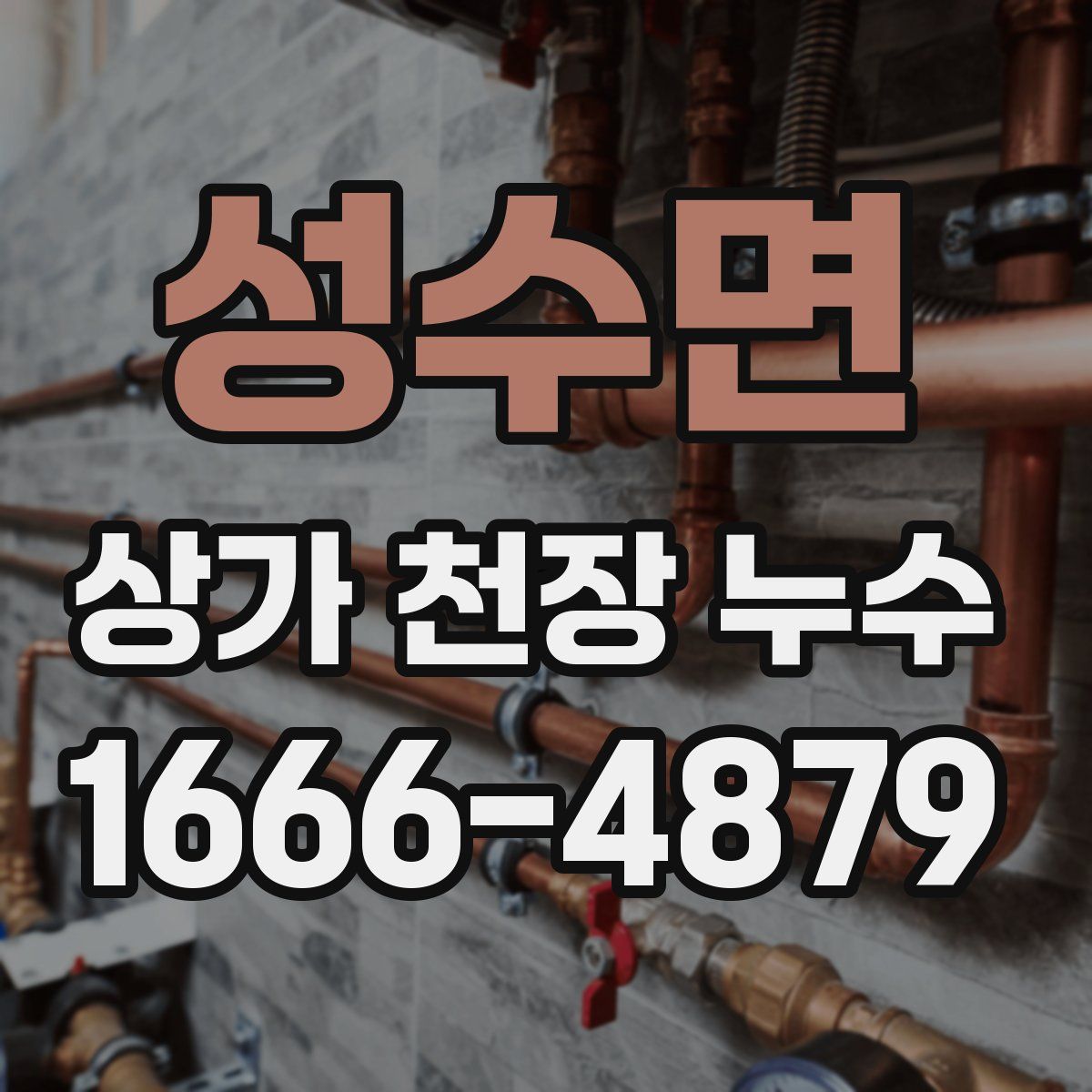 성수면 상가 천장 누수